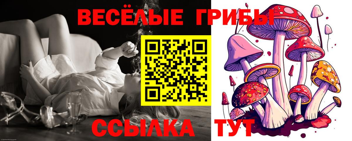 как найти закладки  Псилоцибиновые грибы Cubensis  Вход с VPN  Удомля 